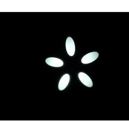 LM250 - 250W LED Spot Moving Head